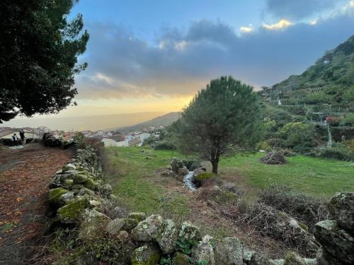 a field with a tree and a stone wall at Casa Artista in Pedro Bernardo