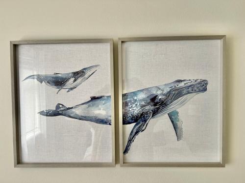 two framed pictures of dolphins and a whale at Incredible Views in Dartmouth with Parking and EV Charger in Dartmouth