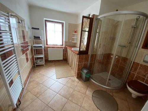 a bathroom with a shower and a toilet at rekreační dům Pohoda in Jiřetín pod Jedlovou