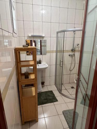 ein Bad mit einer Dusche und einem Waschbecken in der Unterkunft Superbe appartement T3 à Pamandzi in Pamandzi