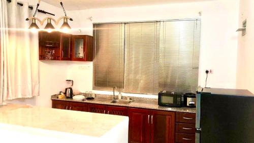 a kitchen with a sink and a black refrigerator at Luxurious apartment with King size bed in Dar es Salaam