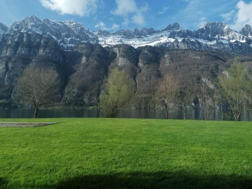 a grassy field with a mountain in the background at Resort Walensee 45 in Unterterzen