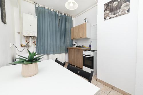 Virtuvė arba virtuvėlė apgyvendinimo įstaigoje Color Apartments Eugen Carada St