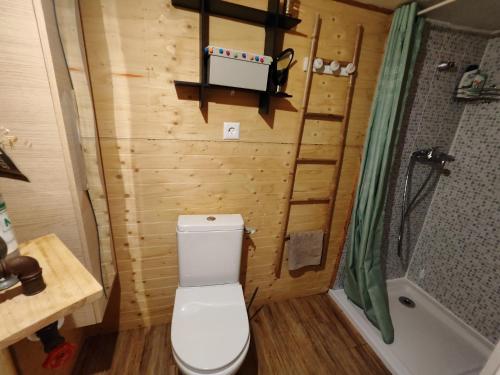 uma pequena casa de banho com WC e chuveiro em Gite proche Côté fleurie em Martainville