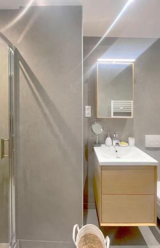 a bathroom with a sink and a mirror at Place Sainte Marguerite in Provins