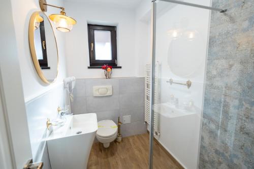 a bathroom with a sink and a toilet and a shower at Casa Din Bran - Inn Cuisine in Bran