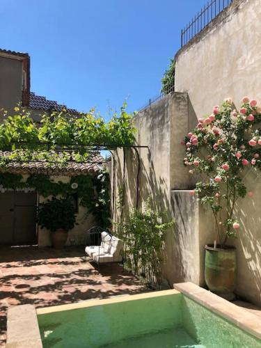 un jardin avec des fleurs et des plantes sur le côté d'un bâtiment dans l'établissement La Demeure Provençale au charme suranné, à Nîmes