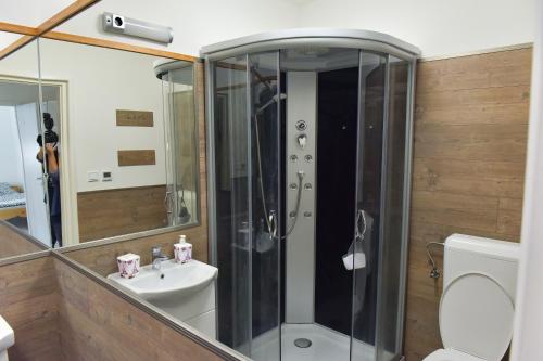 a bathroom with a shower and a toilet and a sink at Borács Winedégház in Bogács