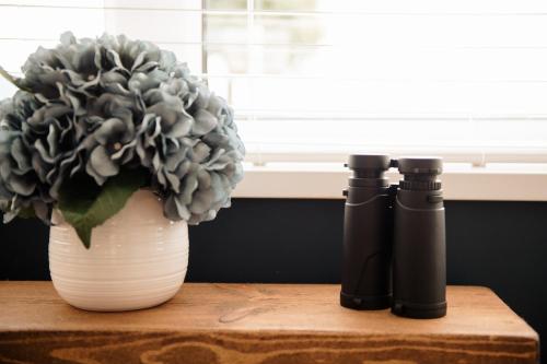 two black bottles sitting on a table next to a plant at Otterburn House in Rothesay