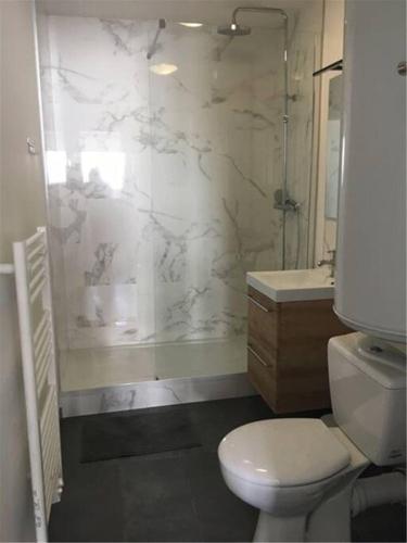 uma casa de banho com um chuveiro, um WC e um lavatório. em Appartement Vue Montagne em Val Louron
