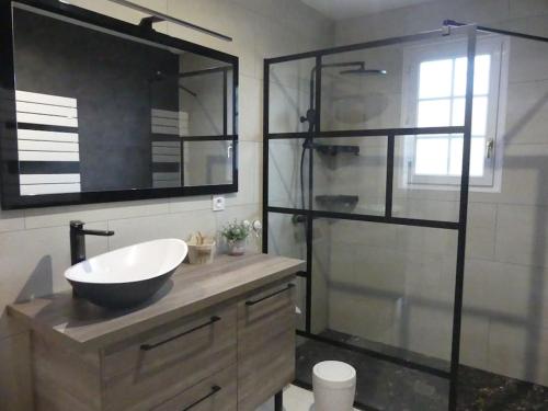a bathroom with a sink and a glass shower at Gîte La Pointe de Diamant in Brigné