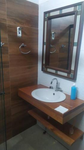 a bathroom with a sink and a mirror and a shower at Barbara House San Ignacio in San Ignacio de Velasco