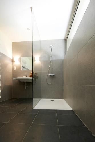 a bathroom with a shower and a sink at Tannine et Cuisine in Jabbeke