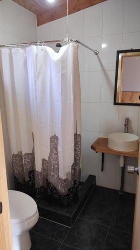 La salle de bains est pourvue d'un rideau de douche, d'un lavabo et de toilettes. dans l'établissement Cabañas y Restaurante Ruta 7 sur, à Villa Cerro Castillo