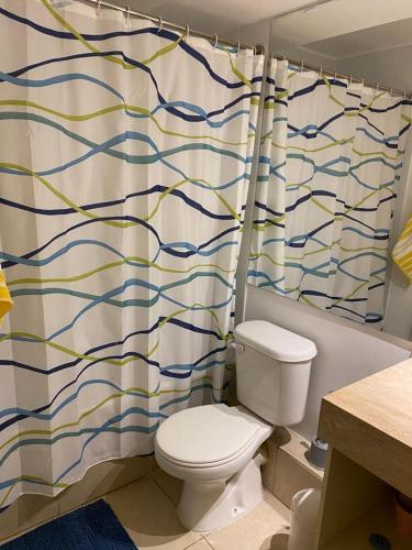 a bathroom with a toilet and a shower curtain at Condominio Laguna Vista Algarrobo in Valparaíso