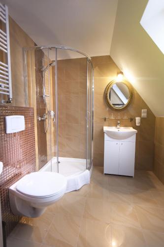 a bathroom with a shower and a toilet and a sink at Villa Elizabeth in Bolków