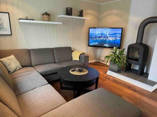 a living room with a couch and a wood stove at Aurlandsfjord Panorama in Aurland