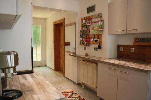 a kitchen with a counter top in a room at Haus Wiese & Lagune in Ettenheim