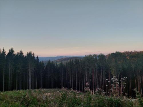 Gallery image of Chalupa Pod borovicí in Zděchov