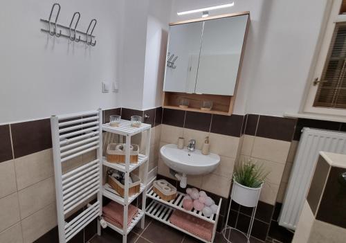 a bathroom with a sink and a mirror at Apartman Centrum Mudronova in Košice