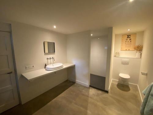 La salle de bains est pourvue d'un lavabo et de toilettes. dans l'établissement Stijlvol ruim studio-appartement nabij historisch centrum, à Amersfoort
