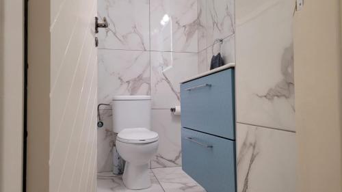a bathroom with a toilet and a blue cabinet at Modern Cityscape Home in Nicosia
