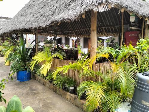 Una casa con un montón de plantas delante de ella. en Sea Breeze Apartments Shanzu Mombasa, en Mombasa