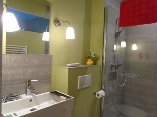 La salle de bains est pourvue d'un lavabo et d'une douche. dans l'établissement B&B La Chambre du Zodiaque, à Bruxelles