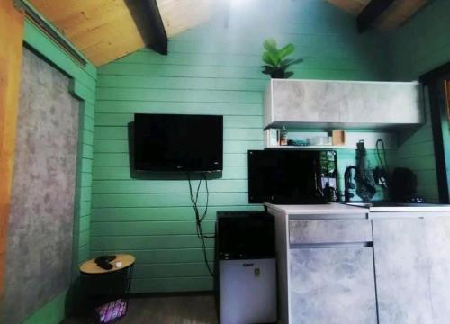 a room with a green wall with a flat screen tv at Struikheide 11 in Bergen op Zoom