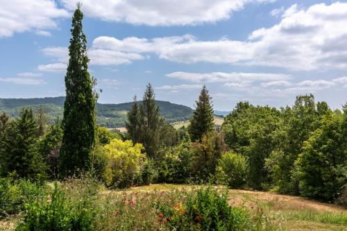 a view of a garden with trees and bushes at Camping LA SERRE in Aigues-Vives