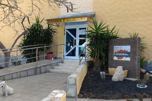 a dog sitting in front of a building with a door at Sul mare Atlantico intero appartamento con piscina in Arona