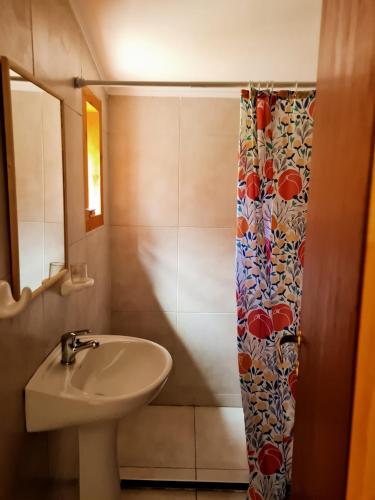 a bathroom with a sink and a shower curtain at La casa de arriba in El Bolsón
