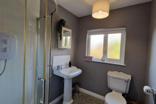 a bathroom with a toilet and a sink and a shower at Westland Retreat - Magherafelt - Mid Ulster - NITB Approved in Magherafelt