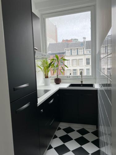 a kitchen with a sink and a window at Beautiful new apartment Antwerpen in Antwerp