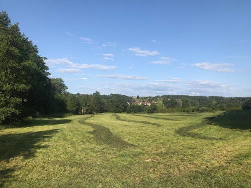 an open field with trees in the background at Gîte alsacien rénové avec jardin près de la Suisse et de l'Allemagne, idéal pour familles et amis - FR-1-744-29 in Ueberstrass