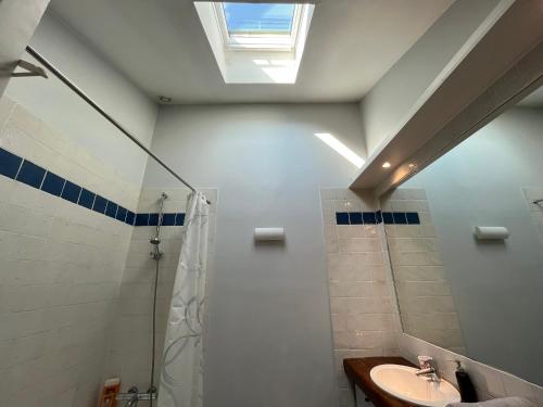 baño con lavabo y ducha con tragaluz en Grande Maison avec jardin et parking proche de Paris en Issy-les-Moulineaux
