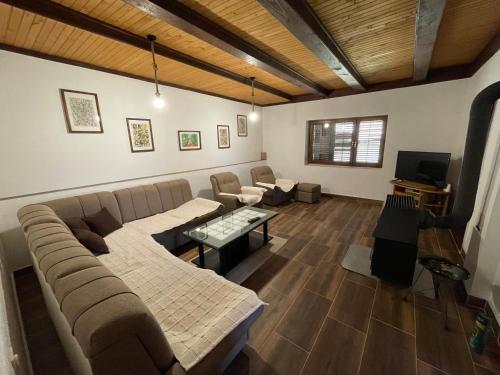 Kuća za odmor - Martić, Rudno, Golija في كرالييفو: غرفة معيشة مع أريكة وتلفزيون