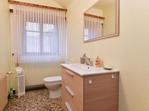 ein Badezimmer mit einem Waschbecken, einem WC und einem Spiegel in der Unterkunft Gîte Oberentzen, 4 pièces, 6 personnes - FR-1-744-40 in Oberentzen