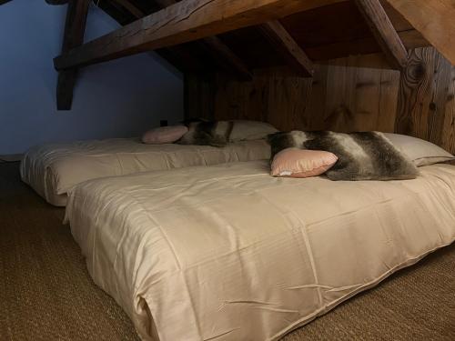 einem Hund, der auf zwei Betten mit Kissen liegt in der Unterkunft Stone Lake Luxury Lodge in Gérardmer