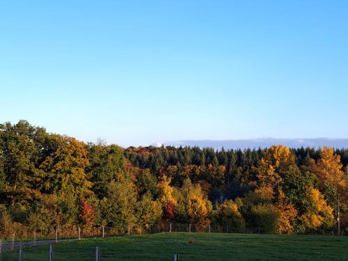 Un paisaje natural cerca de la casa vacacional