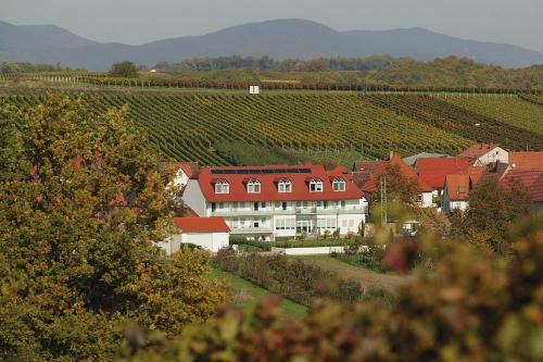 a building with red roofs in a vineyard at Landhotel Hauer in Pleisweiler-Oberhofen
