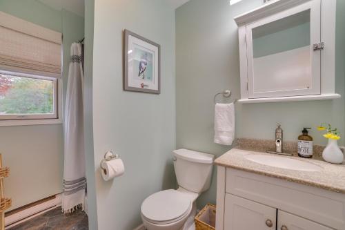 Un baño con inodoro, lavabo y espejo. en Waterfront Lake City Home with Deck and Boat Dock!, en Lake City