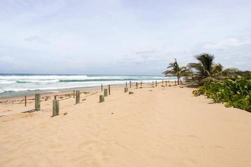 a sandy beach with palm trees and the ocean at Paradise Coast PR - Condo in Isabela