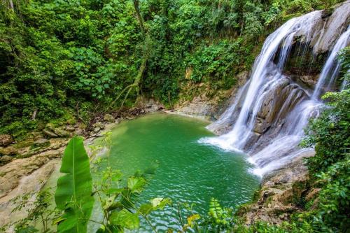 a waterfall in the jungle with a pool of water at Paradise Coast PR - Condo in Isabela