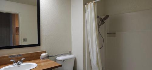 a bathroom with a toilet and a sink and a shower at Orland Inn in Orland