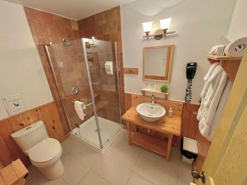 a bathroom with a shower and a toilet and a sink at Auberge Spa & Beaux Reves in Sainte-Adèle
