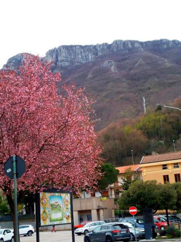 a tree with pink flowers in front of a mountain at Sapori e Sapere di Troisi Margherita in Sicignano degli Alburni