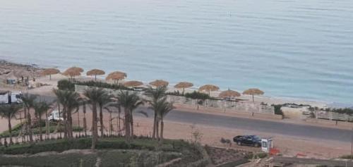 a beach with trees and umbrellas and the water at Il monte Galala Ain sokhna in Ain Sokhna