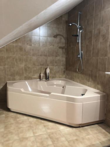 a bath tub with two cats sitting on top of it at Rouge Cottage nel Roero in Sanfrè