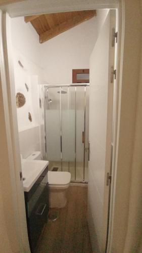 a bathroom with a toilet and a glass shower at CASA EL MIRADOR DE BIBIANA in Hermigua